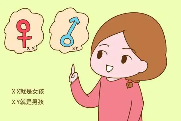 济南爱子代孕网-衢州寻找代孕医院